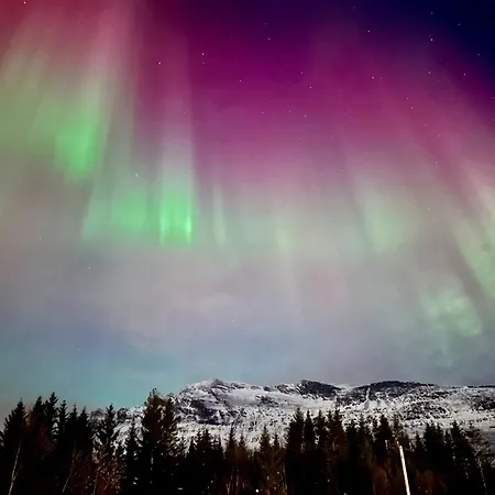 The Emerald Coast * Grov