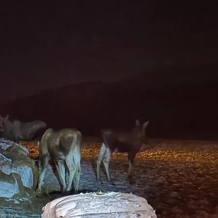 The Emerald Coast Dom wakacyjny