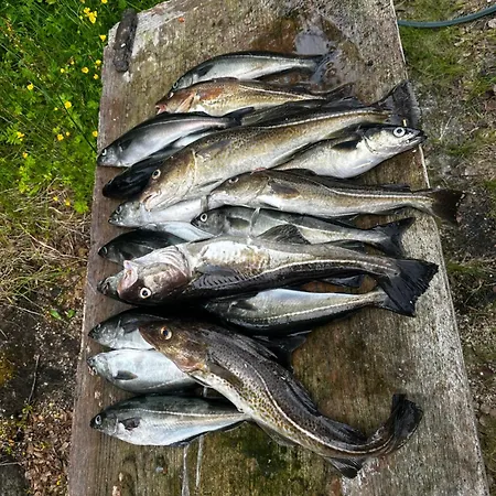 The Emerald Coast Dom wakacyjny *