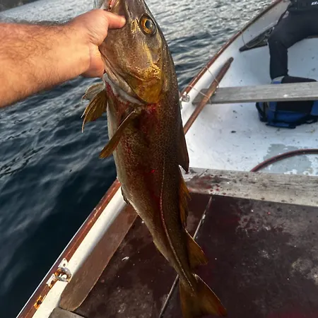 The Emerald Coast Dom wakacyjny *