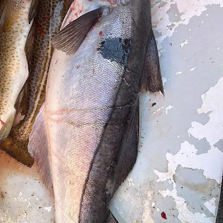 The Emerald Coast Dom wakacyjny