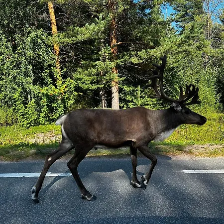 The Emerald Coast Grov
